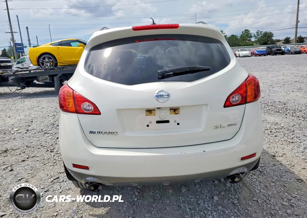 2010 Nissan Murano S VIN:JN8AZ1MW6AW136876 - 6