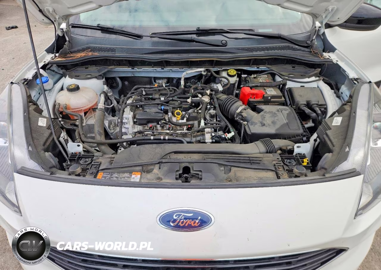 2021 Ford Escape Se VIN:1FMCU0G66MUA09582 - 12