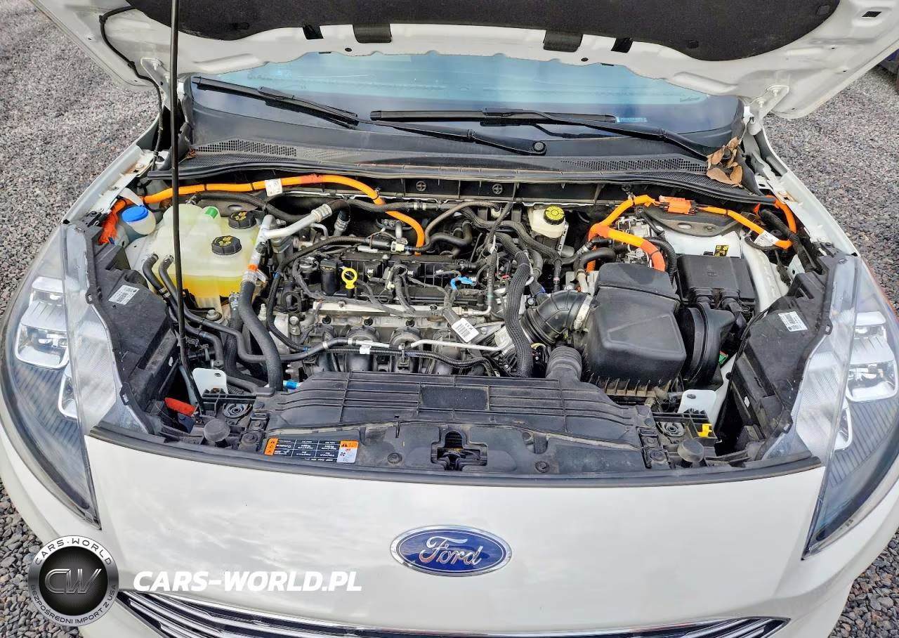 2022 Ford Escape Titanium VIN:1FMCU0LZ1NUA63213 - 12