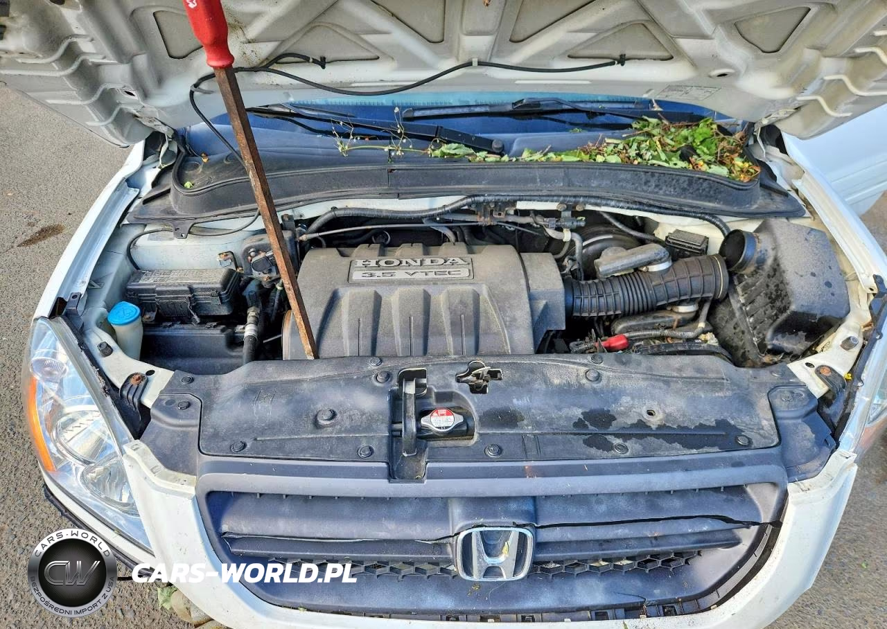 2005 Honda Pilot Exl VIN:2HKYF18555H546746 - 12