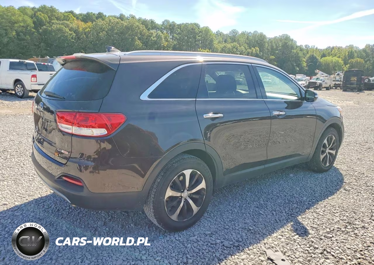 2017 Kia Sorento Ex VIN:5XYPH4A16HG297870 - 3
