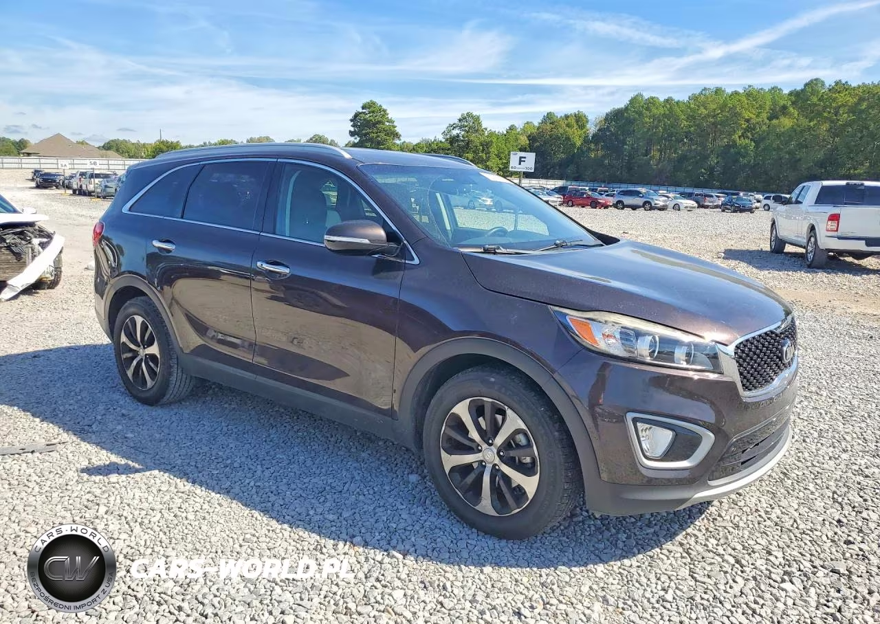 2017 Kia Sorento Ex VIN:5XYPH4A16HG297870 - 4