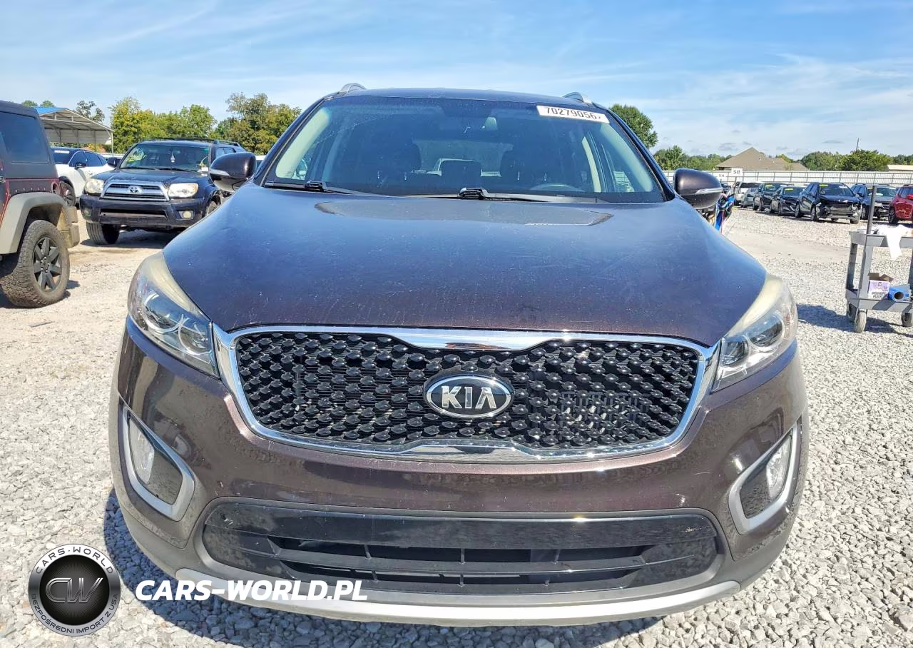 2017 Kia Sorento Ex VIN:5XYPH4A16HG297870 - 5