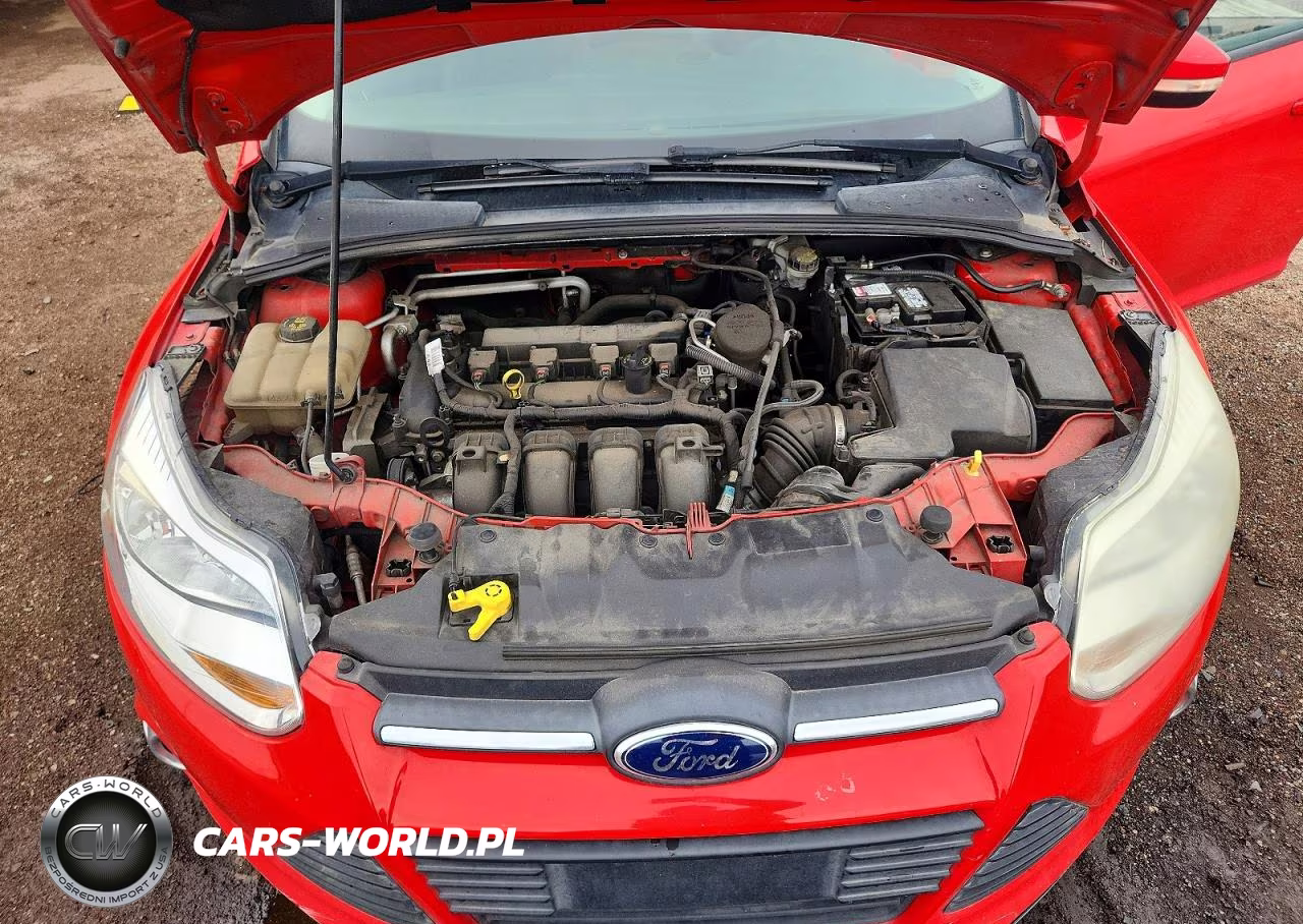 2014 Ford Focus Sedan (5 Doors VIN:1FADP3K28EL113123 - 11