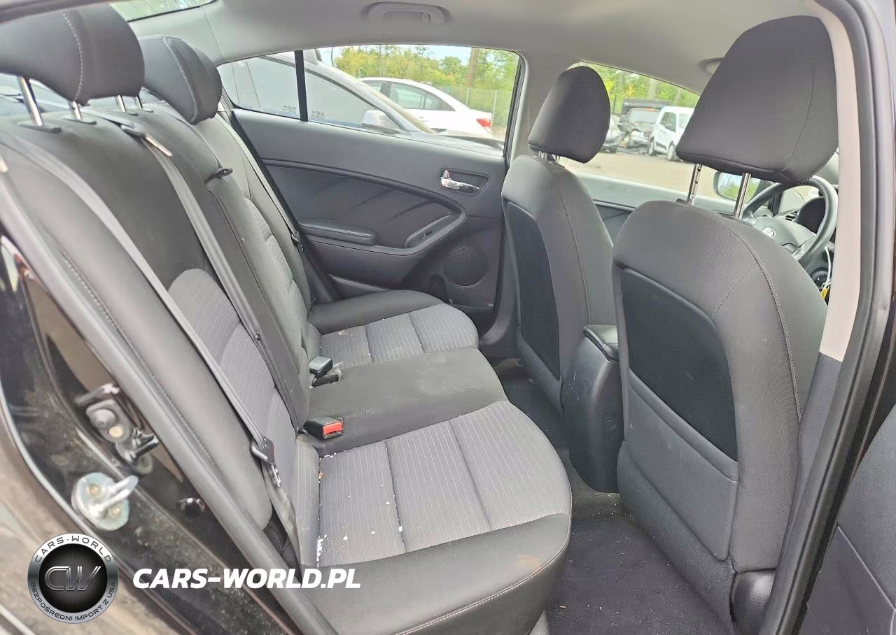 2016 Kia Forte Lx VIN:KNAFX4A68G5541355 - 10