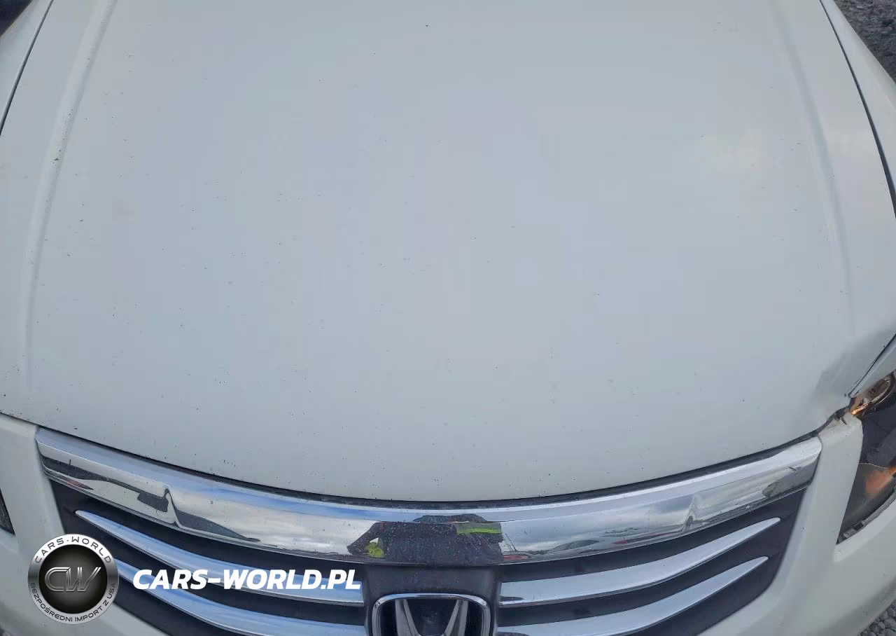 2011 Honda Accord Exl VIN:1HGCP2F83BA054117 - 11