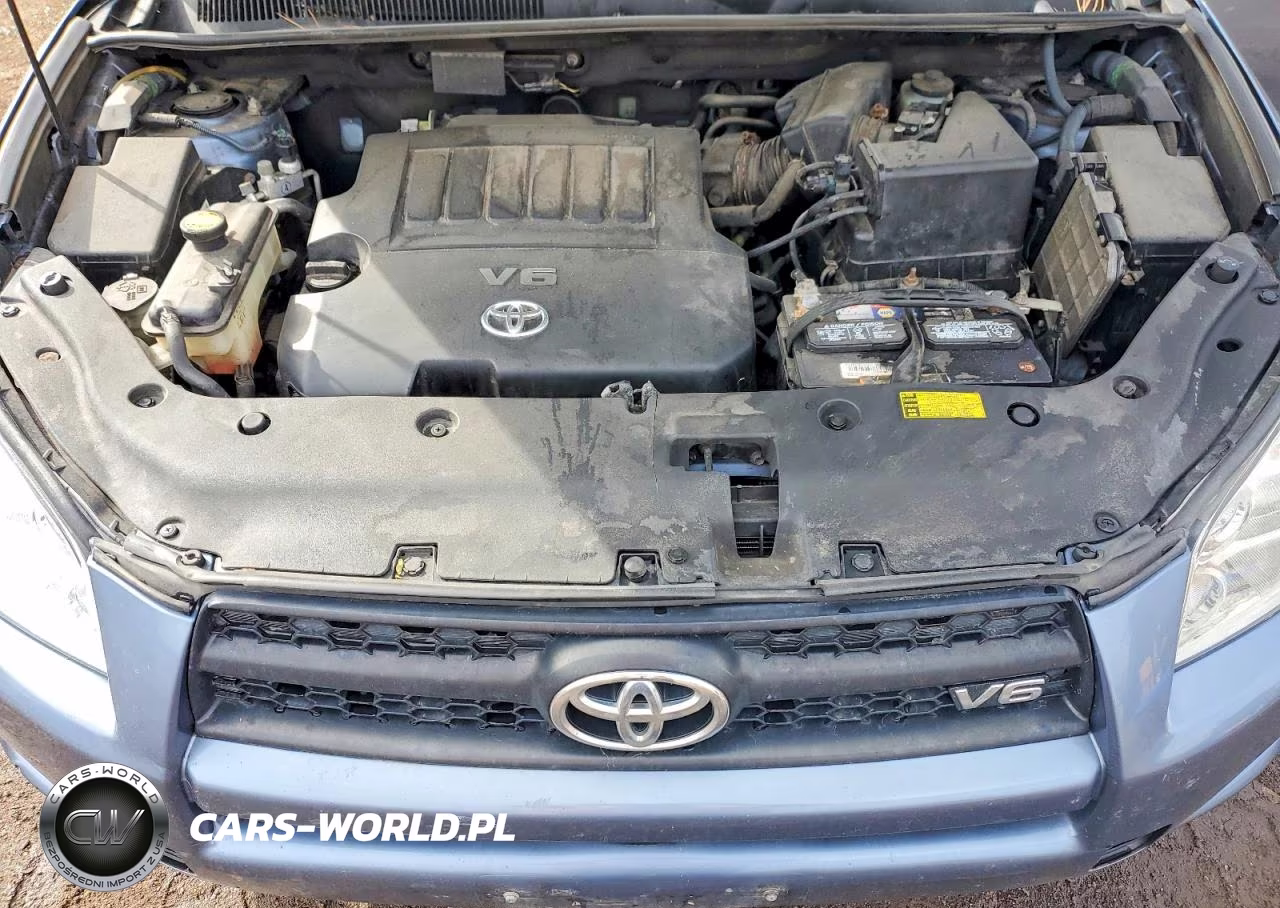 2009 Toyota Rav4 Base VIN:JTMBK33V59D007351 - 12