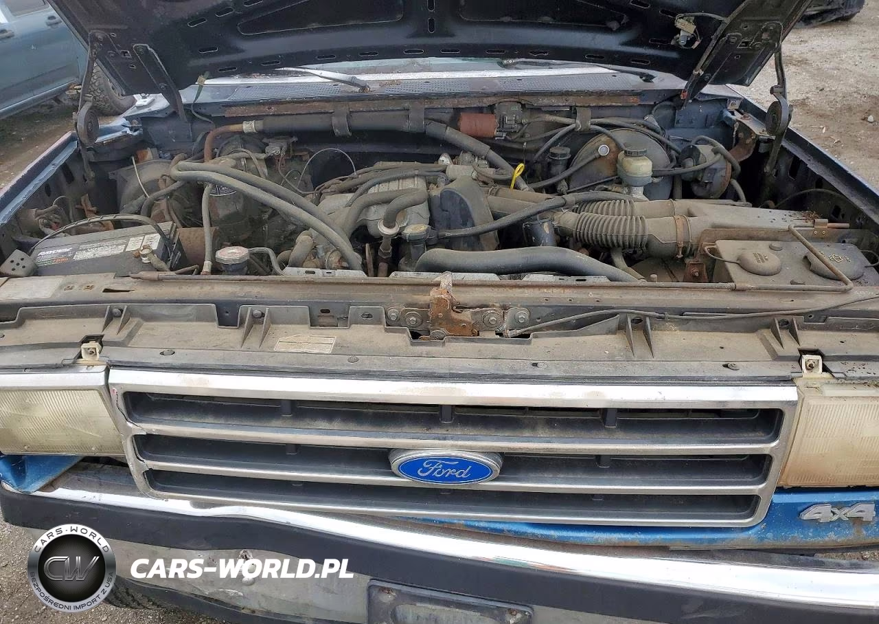 1990 Ford F150 VIN:1FTEF14Y6LNB05322 - 11
