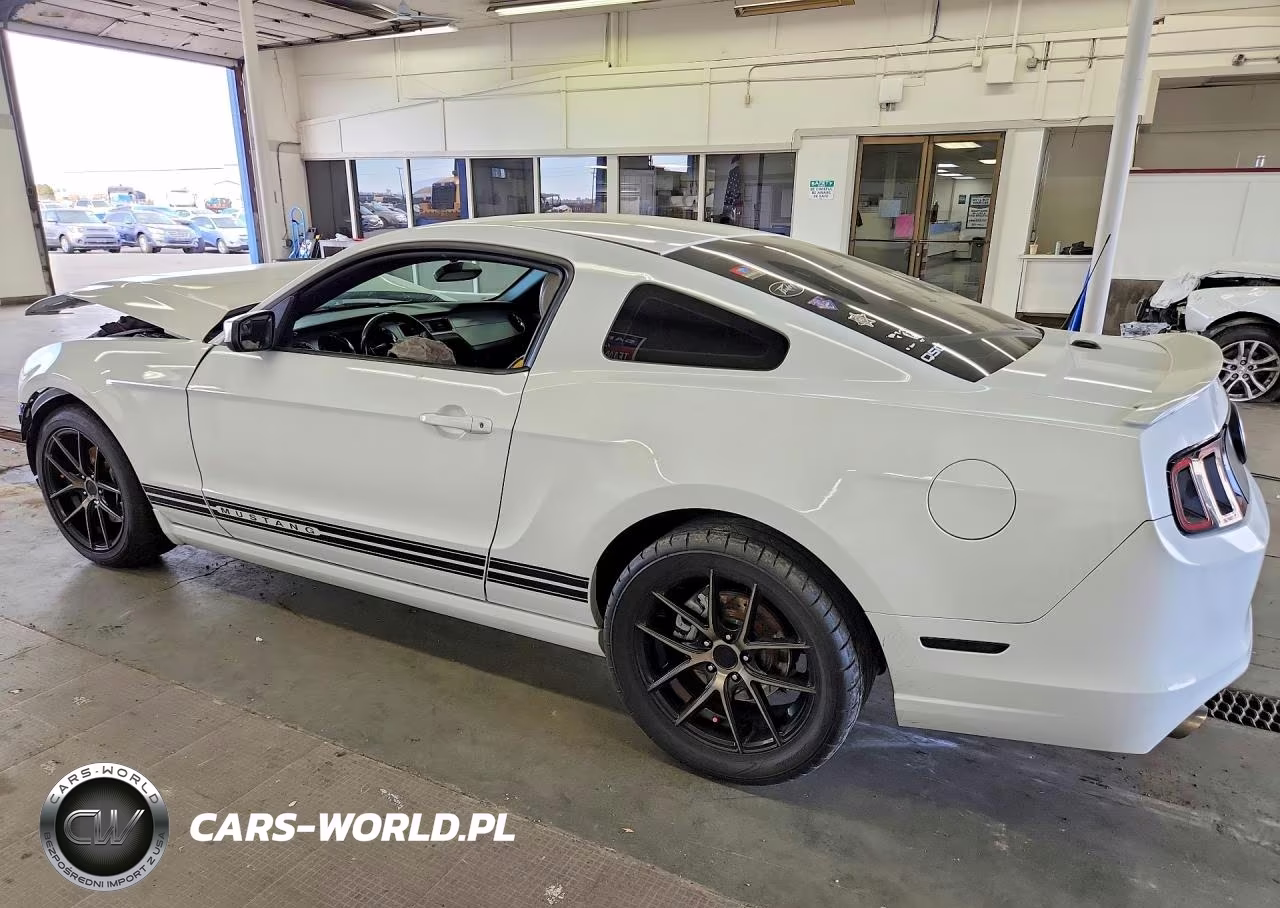 2014 Ford Mustang VIN:1ZVBP8AM0E5292695 - 2