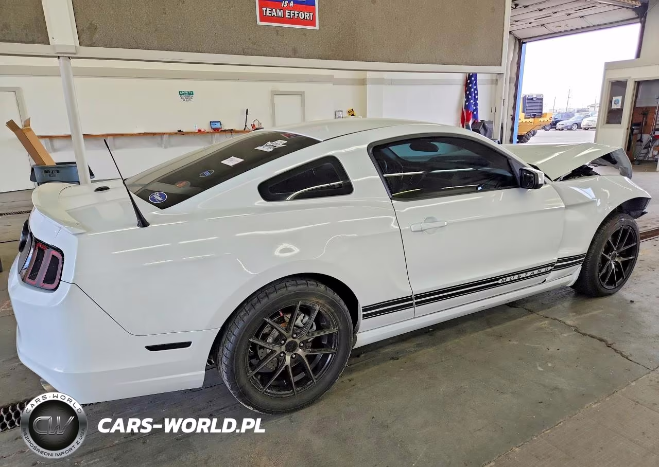 2014 Ford Mustang VIN:1ZVBP8AM0E5292695 - 3