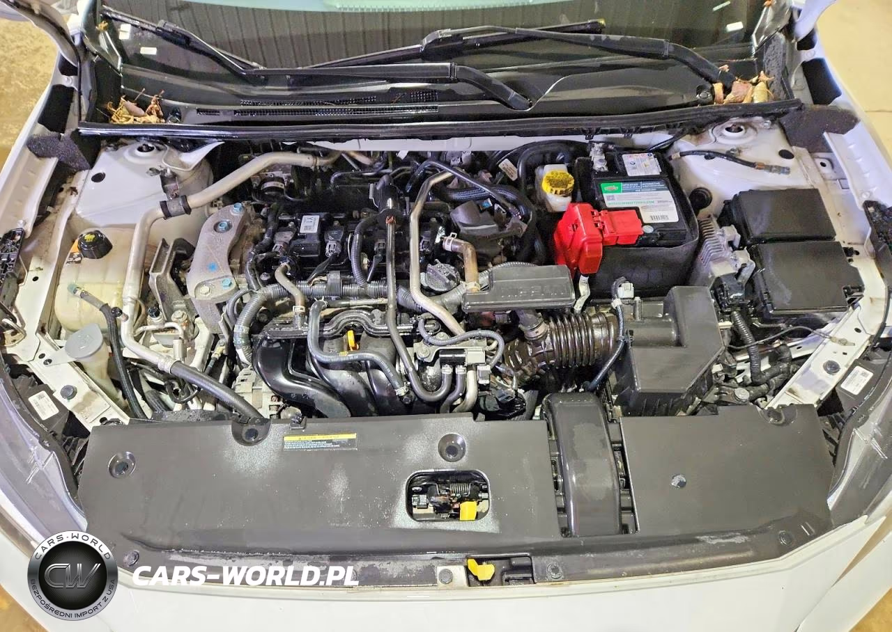 2023 Nissan Sentra Sv VIN:3N1AB8CV0PY264133 - 11
