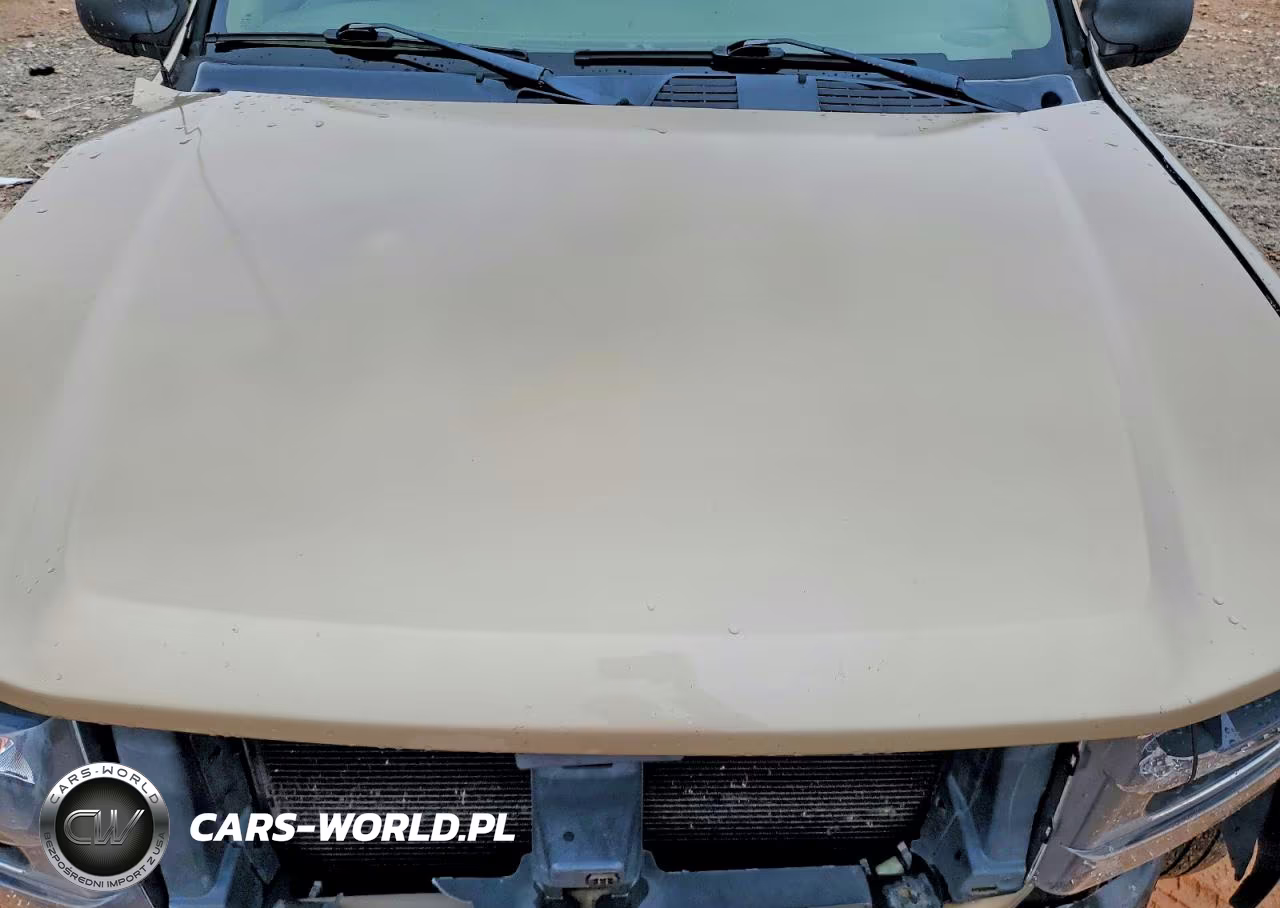 2004 Chevrolet Trailblazer Ls VIN:1GNDT13SX42411600 - 12