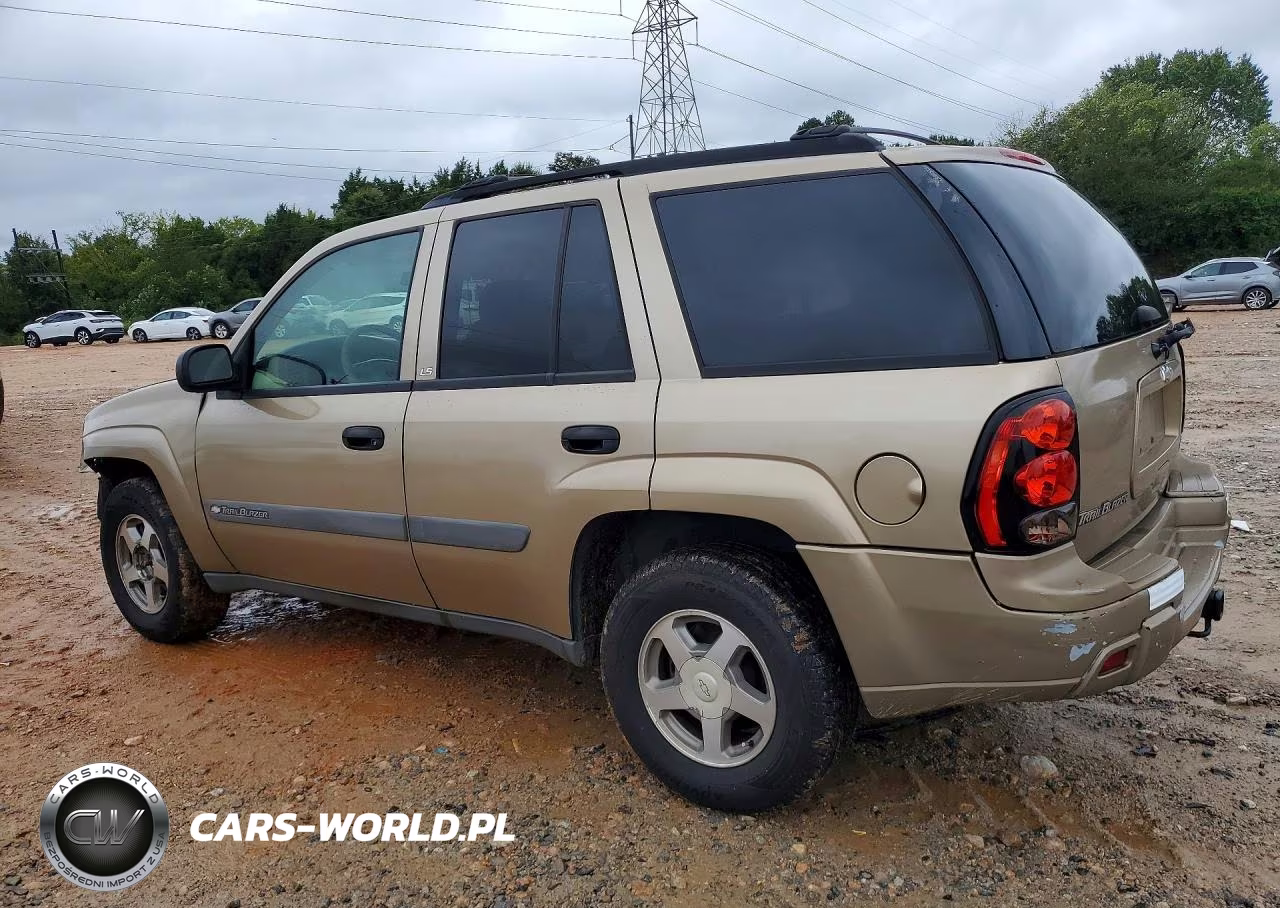 2004 Chevrolet Trailblazer Ls VIN:1GNDT13SX42411600 - 2
