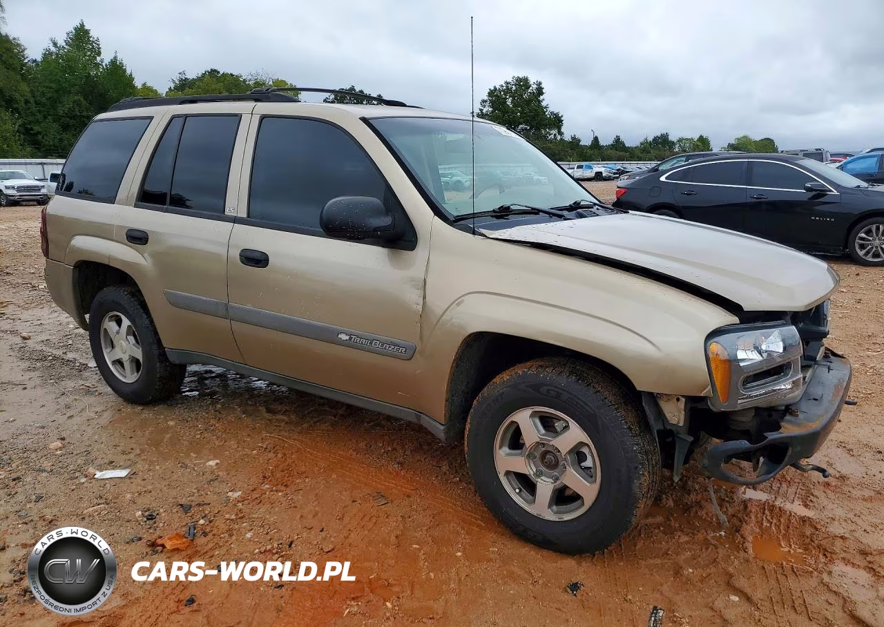 2004 Chevrolet Trailblazer Ls VIN:1GNDT13SX42411600 - 4