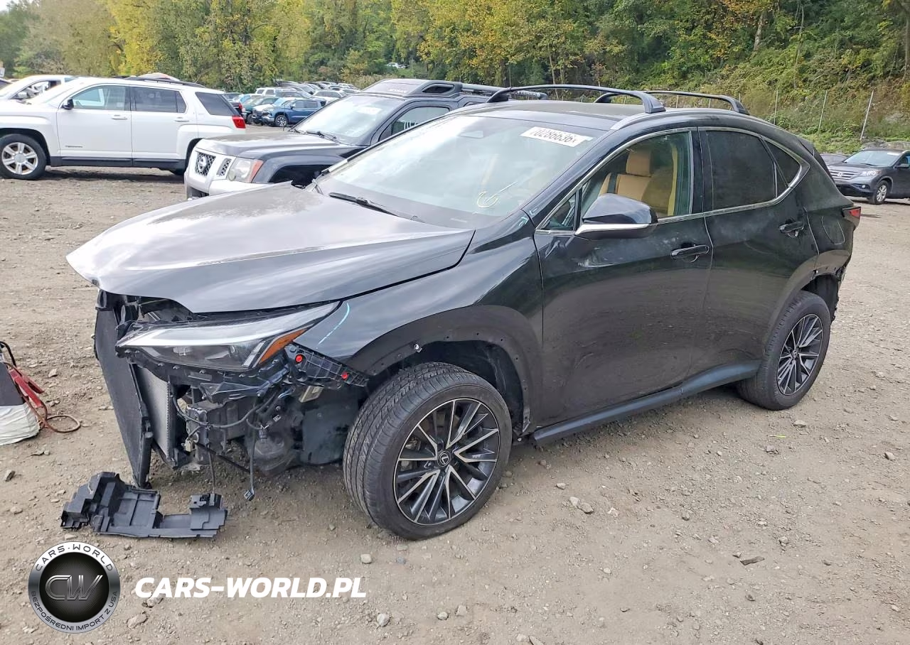 2022 Lexus Nx 350 VIN:2T2AGCEZ8NC010440 - 1