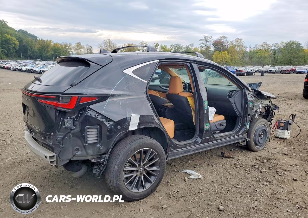 2022 Lexus Nx 350 VIN:2T2AGCEZ8NC010440 - 3