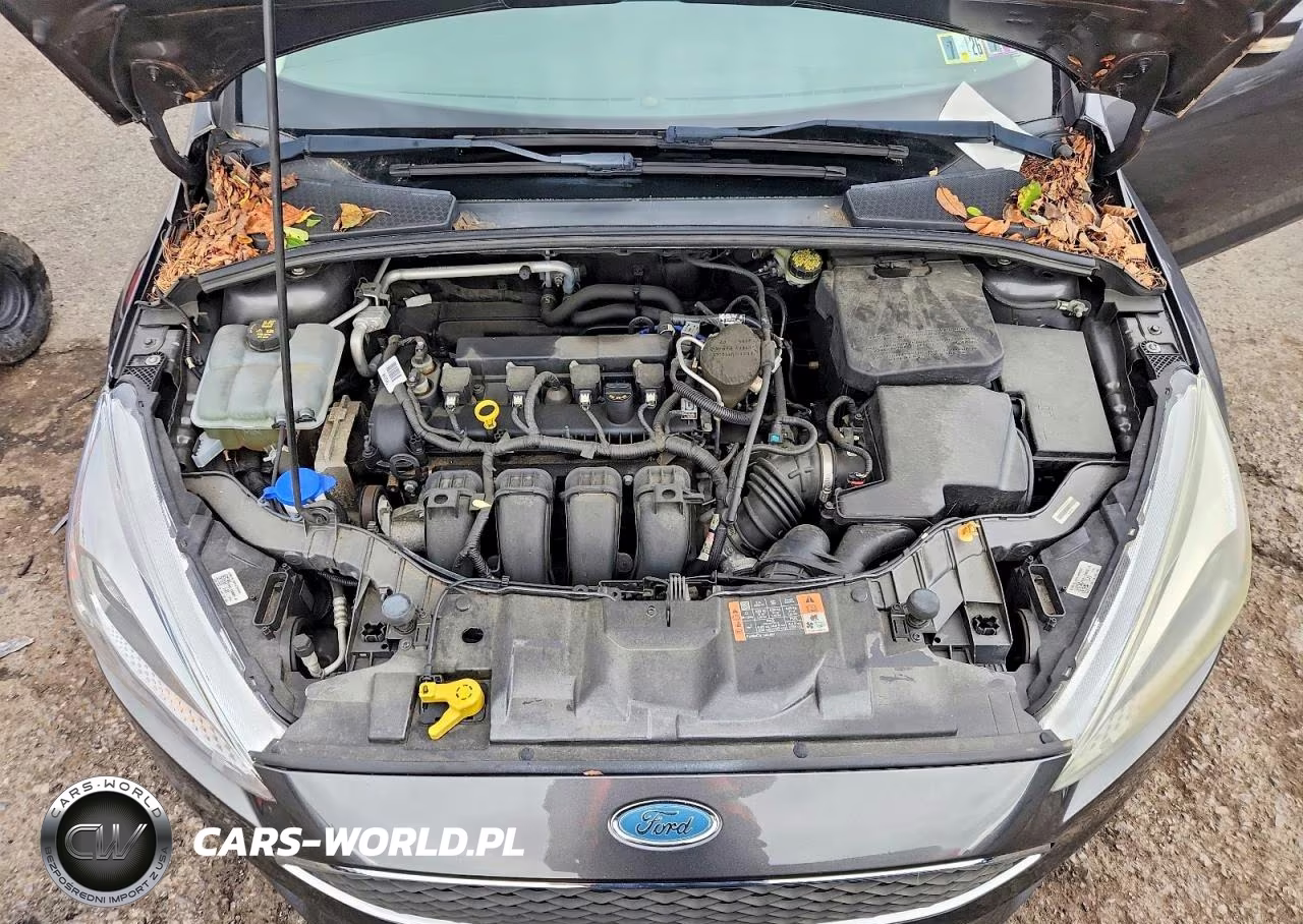 2015 Ford Focus Se VIN:1FADP3F25FL291552 - 11