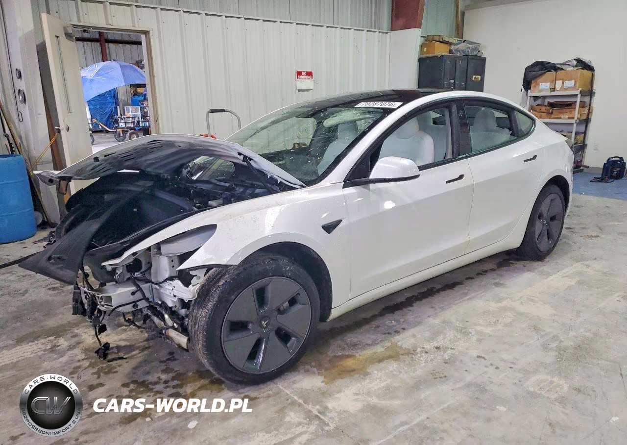 2023 Tesla Model 3 VIN:5YJ3E1EA1PF382444 - 1