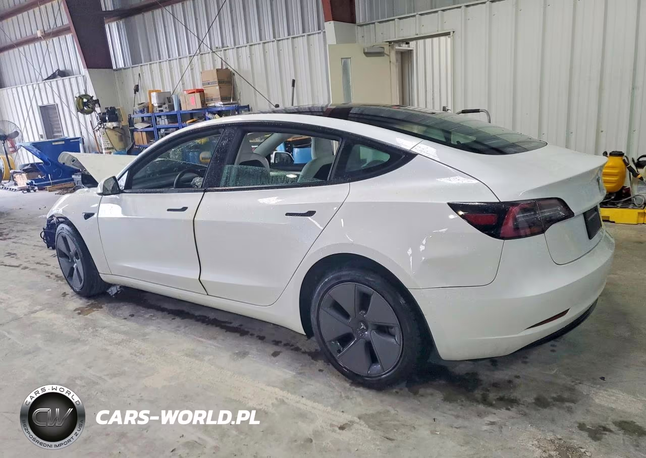 2023 Tesla Model 3 VIN:5YJ3E1EA1PF382444 - 2
