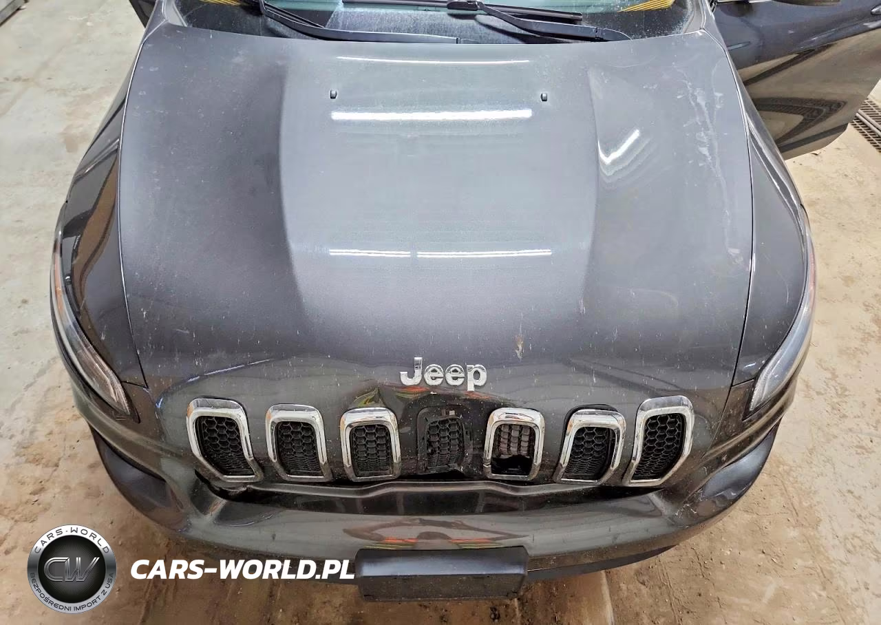 2016 Jeep Cherokee Limited VIN:1C4PJMDS1GW307991 - 12