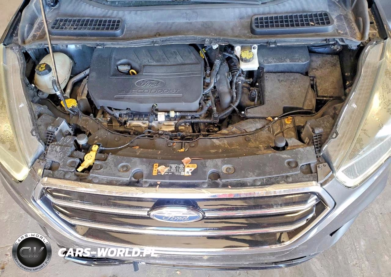 2017 Ford Escape Se VIN:1FMCU0GD1HUE76798 - 12