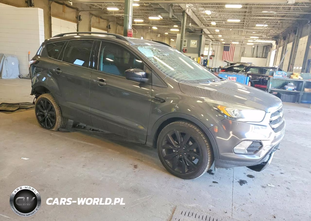 2017 Ford Escape Se VIN:1FMCU0GD1HUE76798 - 4