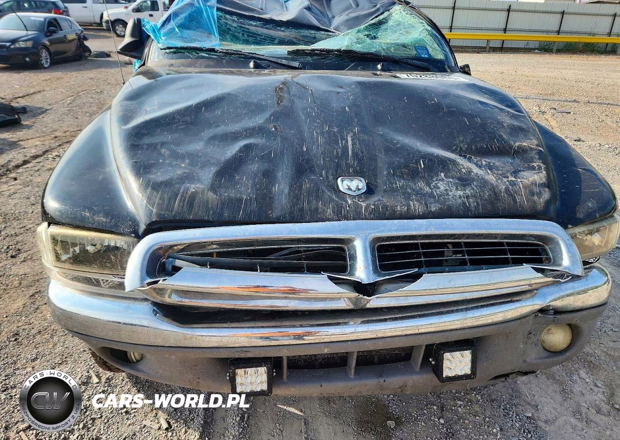 2004 Dodge Dakota Quad Slt VIN:1D7HG48N34S691238 - 11