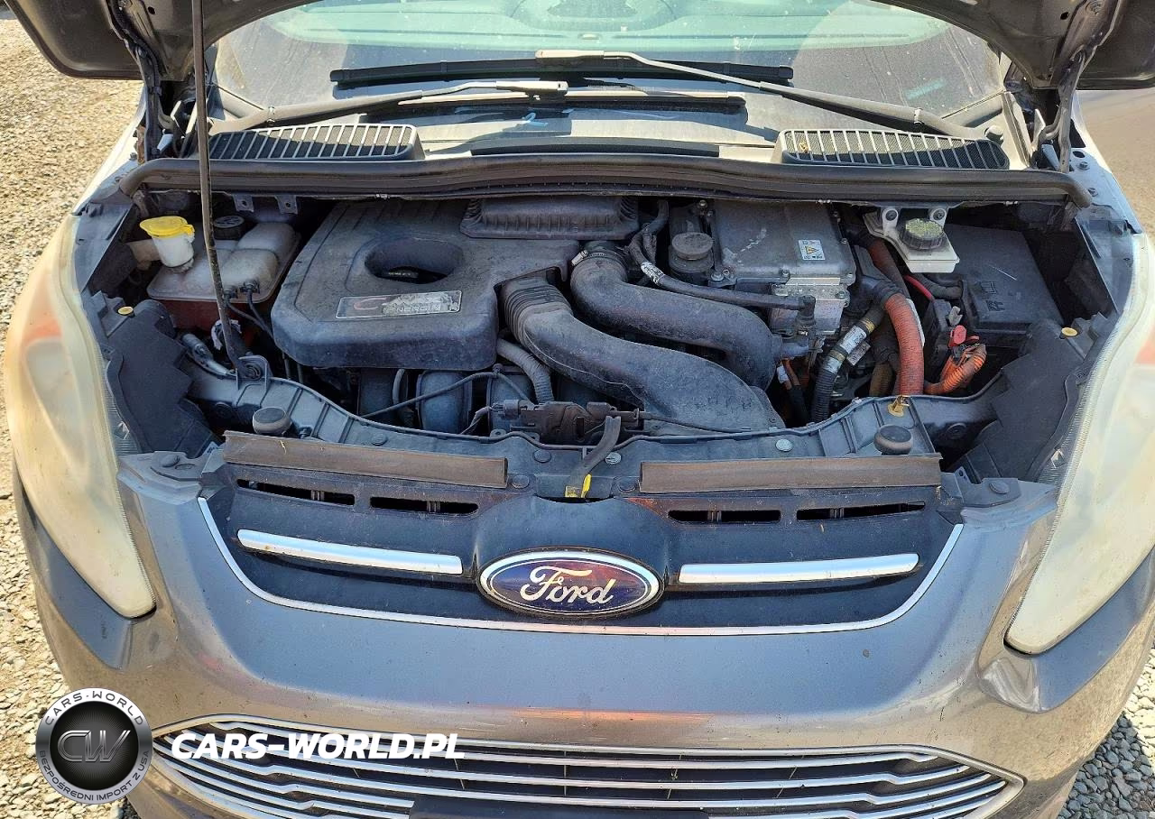 2013 Ford C-Max Premium VIN:1FADP5CU8DL534463 - 11