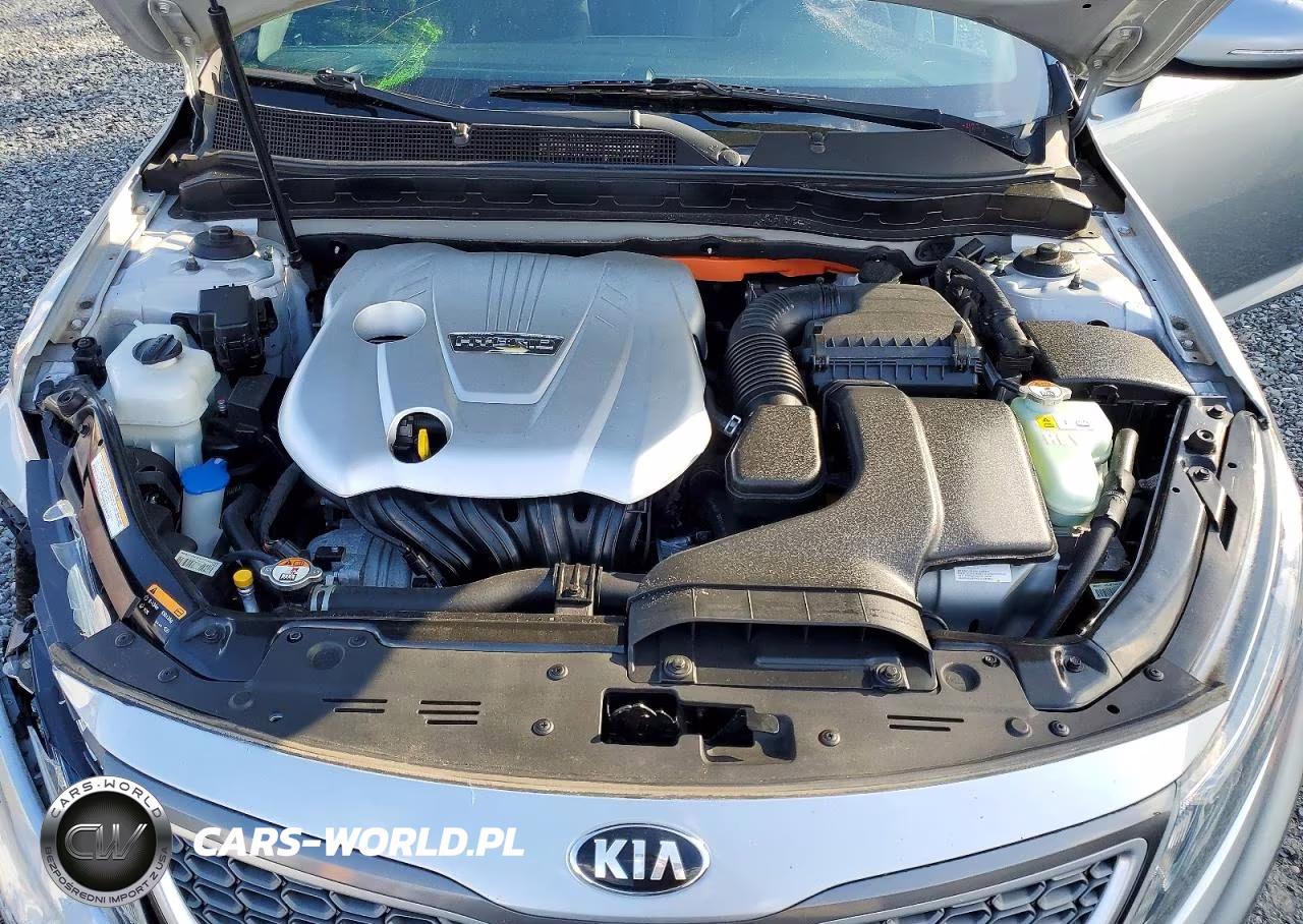 2015 Kia Optima Hybrid VIN:KNAGM4AD8F5082483 - 11