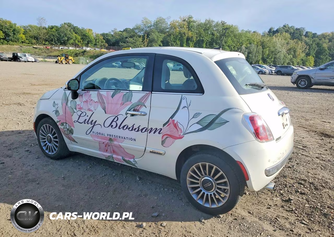 2012 Fiat 500 Lounge VIN:3C3CFFCR9CT106385 - 2