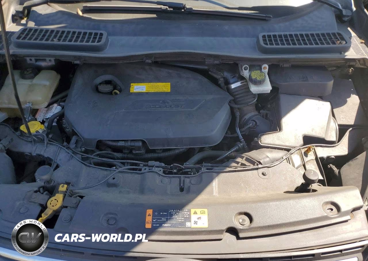 2016 Ford Escape Se VIN:1FMCU0GX2GUB89608 - 12