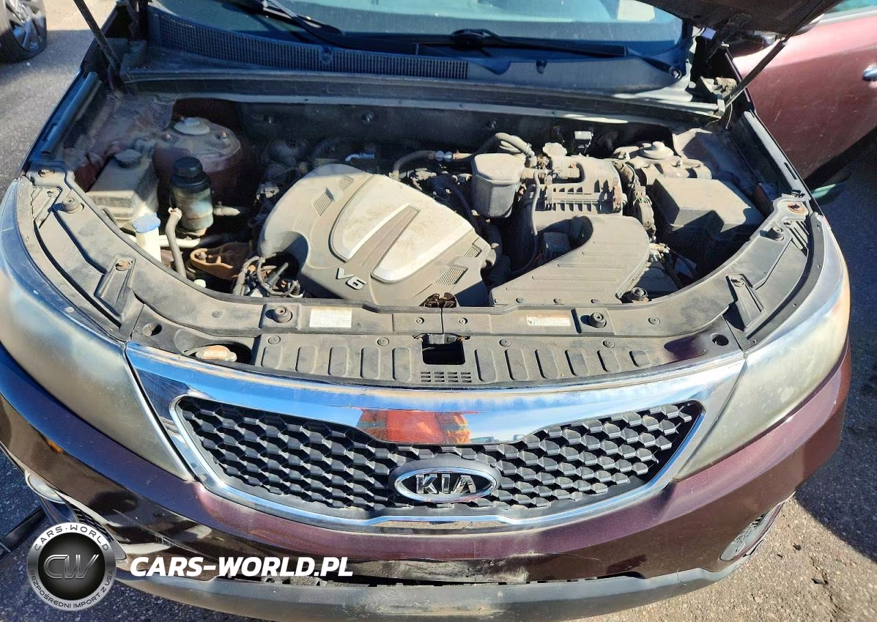 2011 Kia Sorento Lx VIN:5XYKTDA20BG159556 - 12