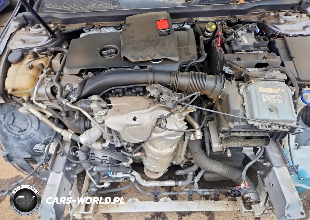 2019 Mercedes-Benz A 220 VIN:WDD3G4EB5KW002357 - 11