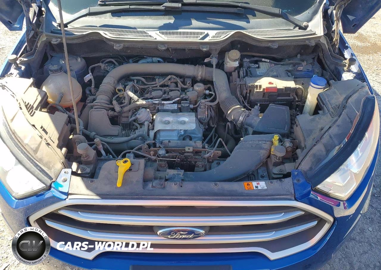 2019 Ford Ecosport Se VIN:MAJ3S2GE3KC309506 - 12