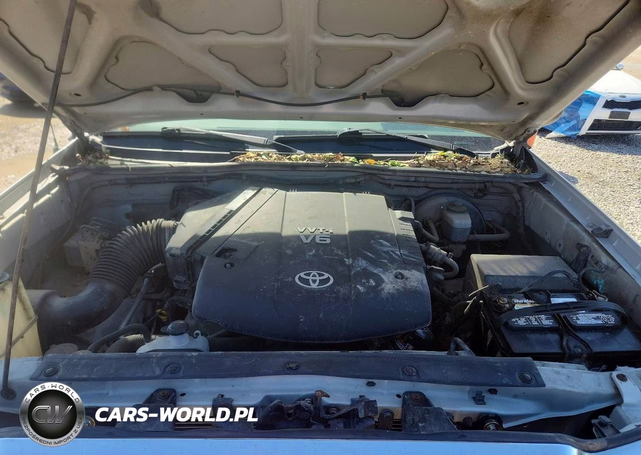 2006 Toyota Tacoma V6 VIN:5TEUU42N16Z302816 - 11