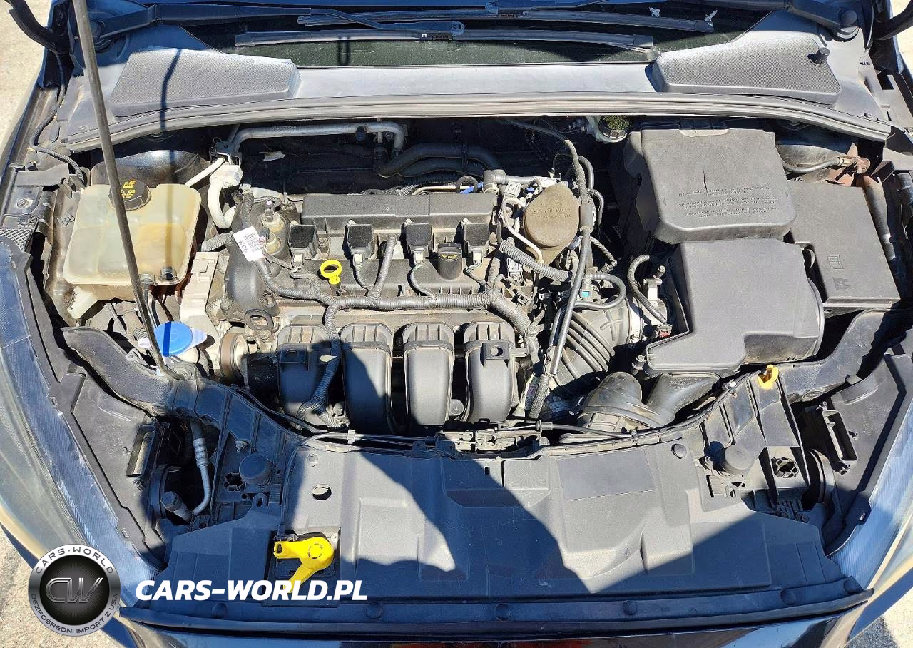 2015 Ford Focus Se VIN:1FADP3F27FL248993 - 11