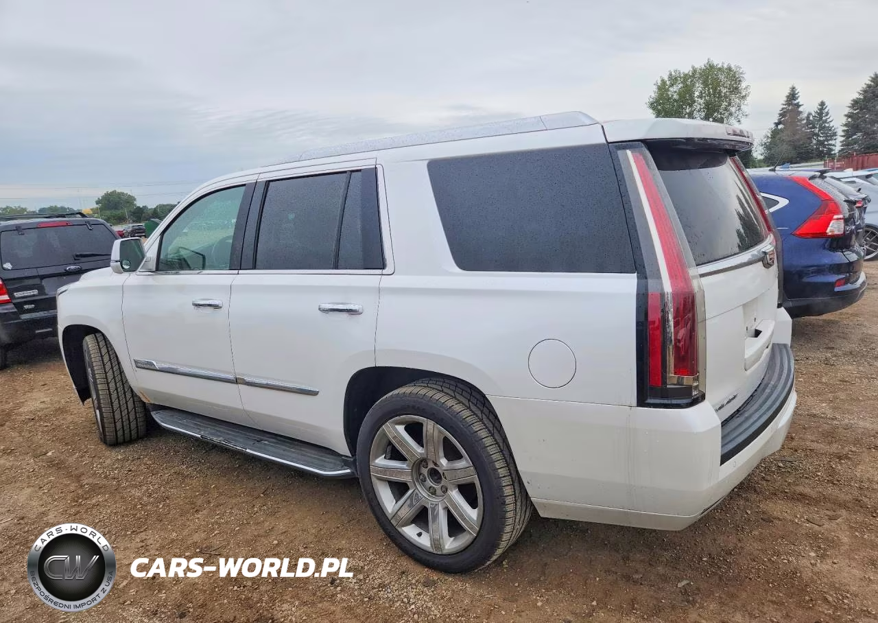 2016 Cadillac Escalade Luxury VIN:1GYS4BKJ4GR154029 - 2