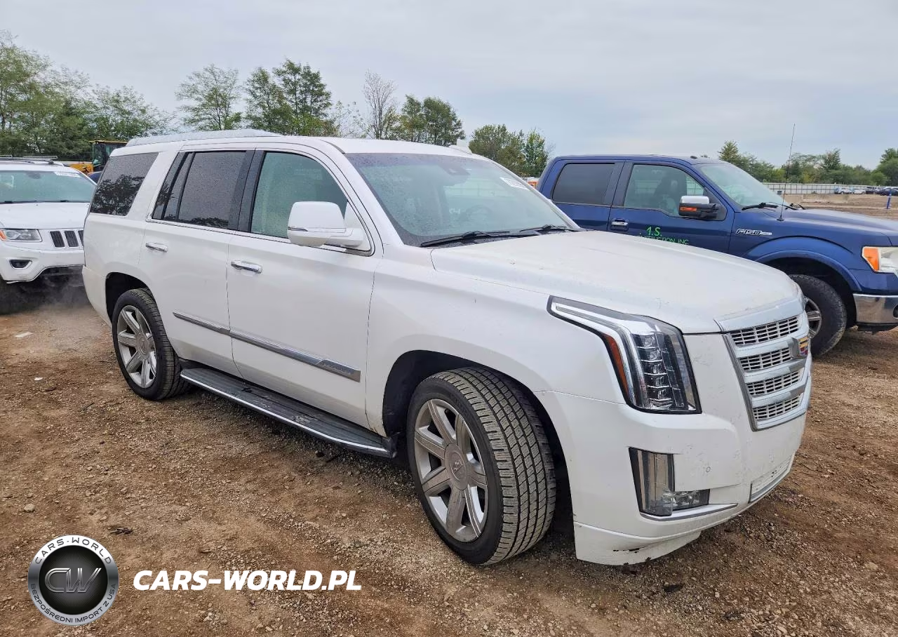 2016 Cadillac Escalade Luxury VIN:1GYS4BKJ4GR154029 - 4