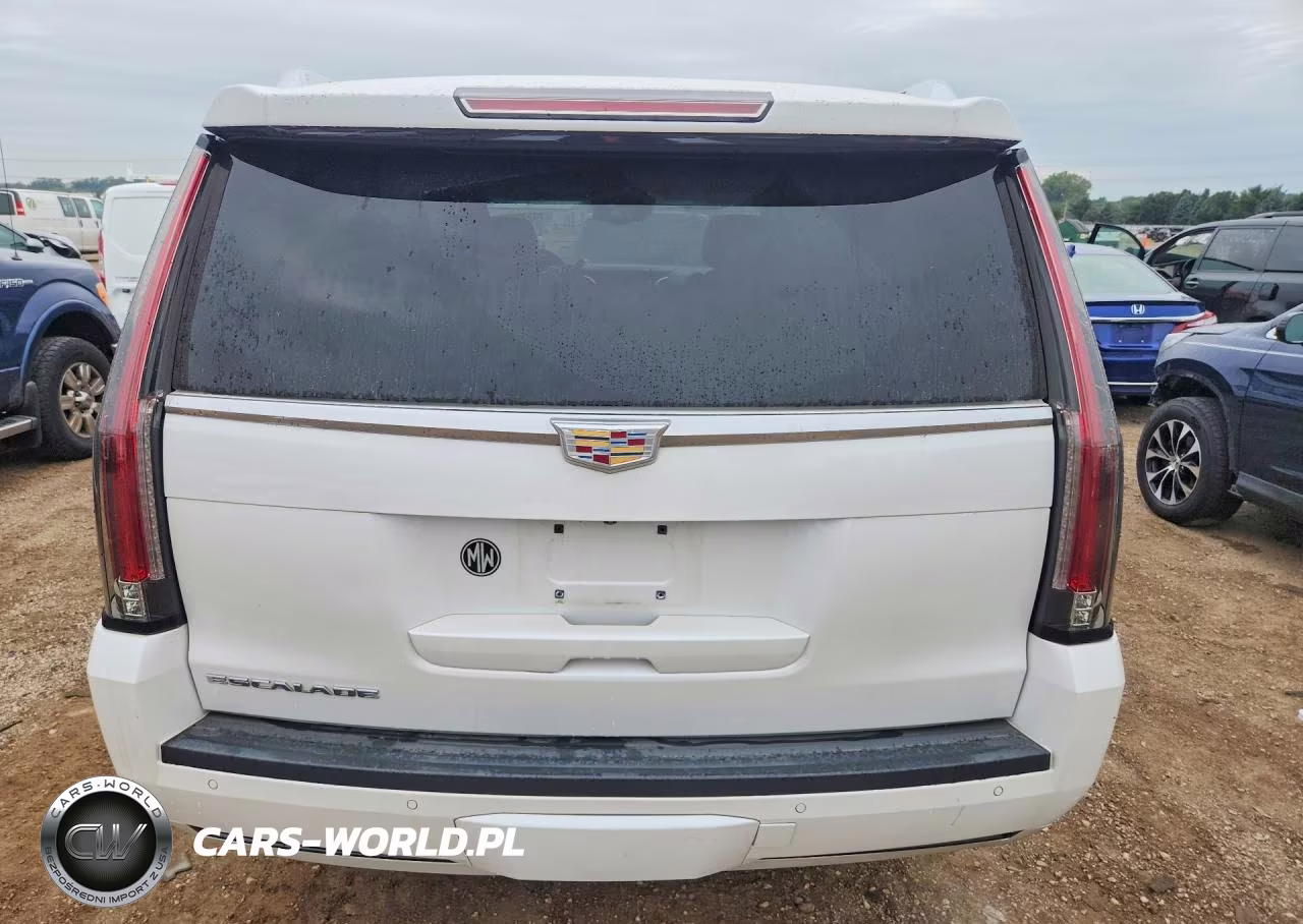 2016 Cadillac Escalade Luxury VIN:1GYS4BKJ4GR154029 - 6
