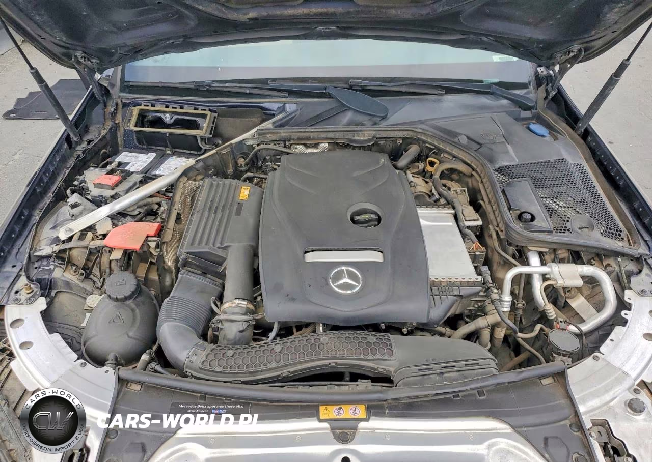 2018 Mercedes-Benz C 300 VIN:55SWF4JB1JU265415 - 11