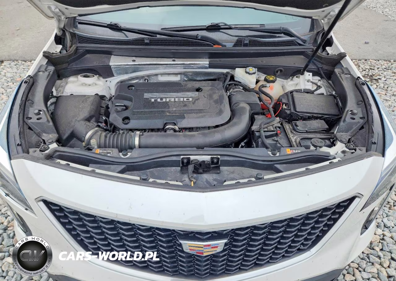 2019 Cadillac Xt4 Sport VIN:1GYFZER46KF176094 - 12