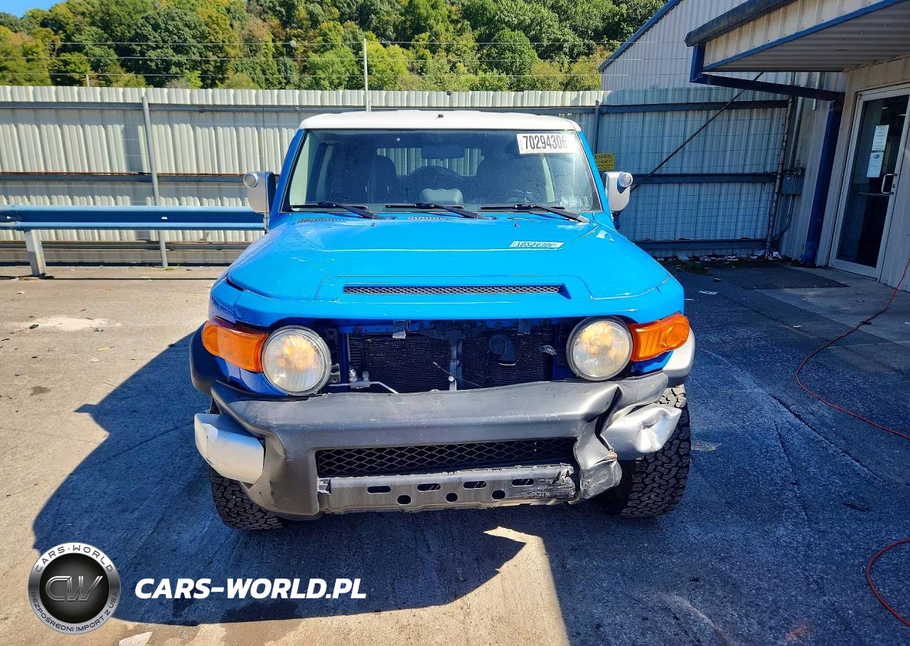 2007 Toyota Fj Cruiser Base VIN:JTEBU11F370095259 - 5