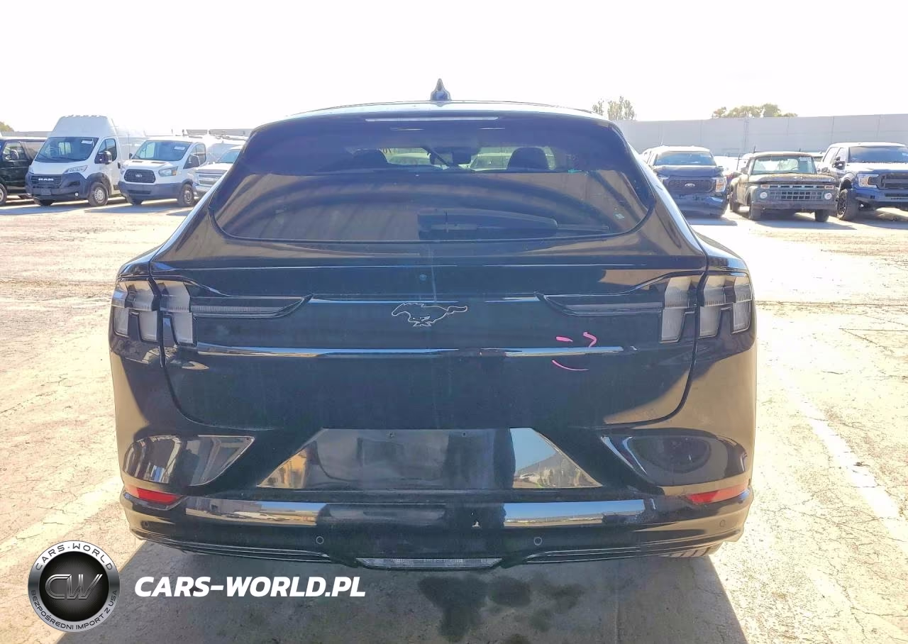 2021 Ford Mustang Mach-E Premium VIN:3FMTK3R70MMA57984 - 6