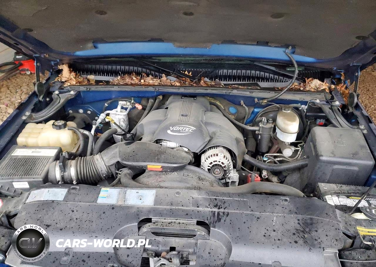 2003 Chevrolet Silverado K1500 VIN:2GCEK19N231362361 - 11