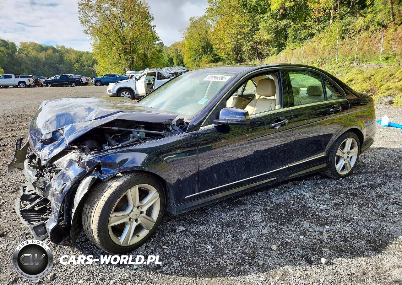 2010 Mercedes-Benz C 300 4Matic VIN:WDDGF8BB7AR106085 - 1