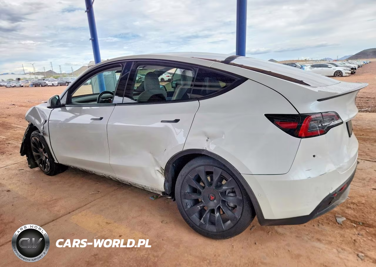 2020 Tesla Model Y VIN:5YJYGDEE9LF034289 - 2