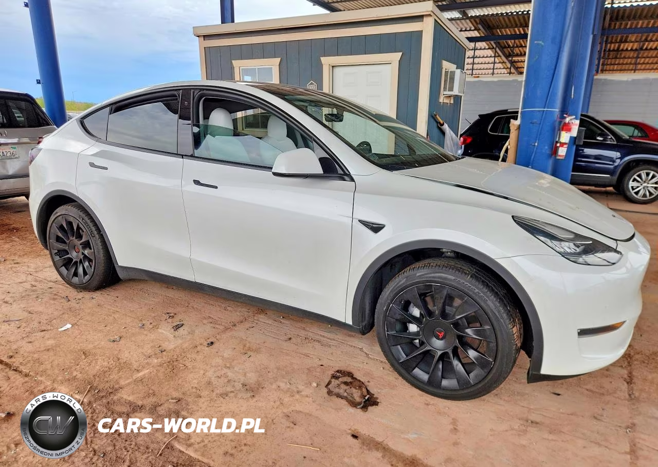 2020 Tesla Model Y VIN:5YJYGDEE9LF034289 - 4