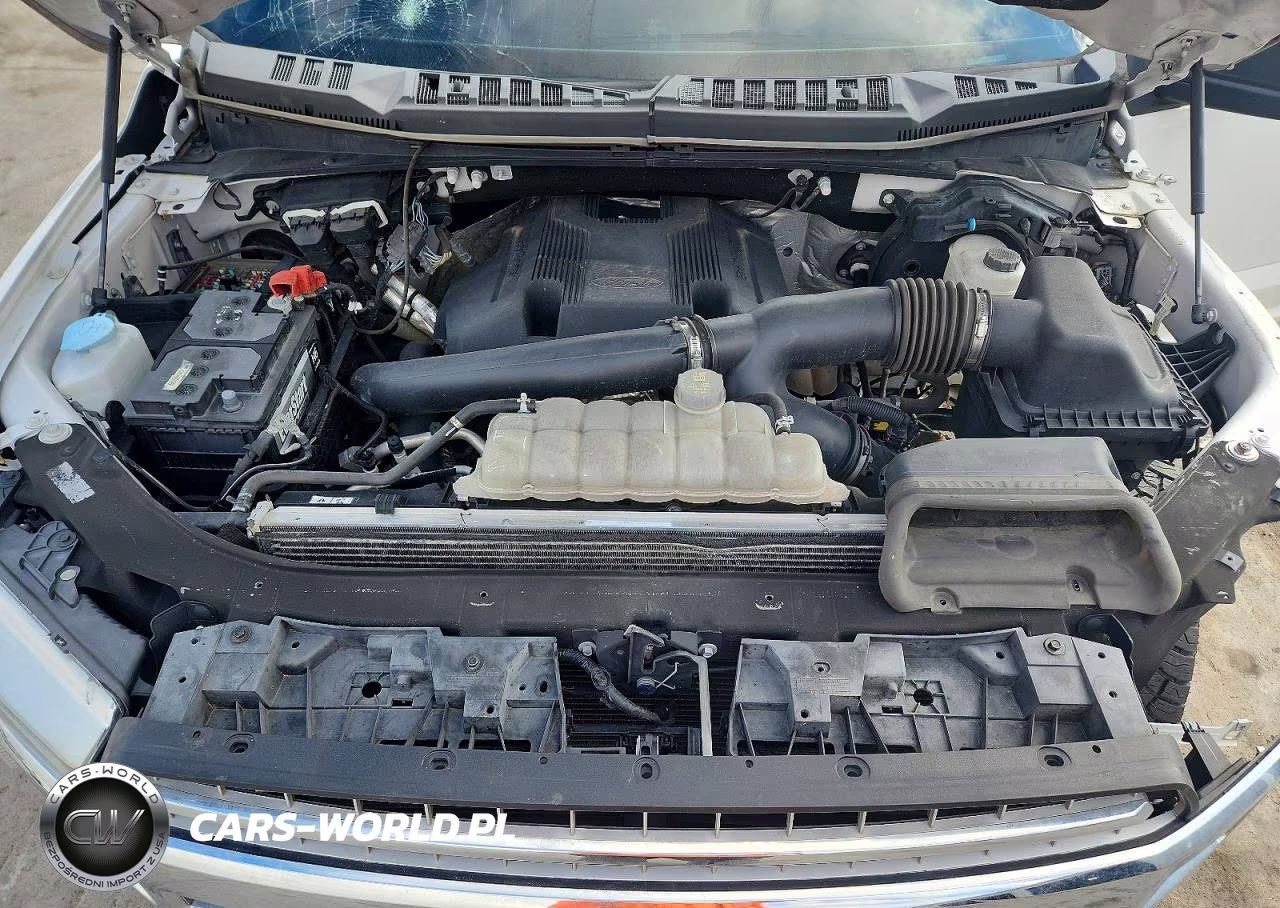2019 Ford F150 Supercrew VIN:1FTEW1E46KFB77304 - 11