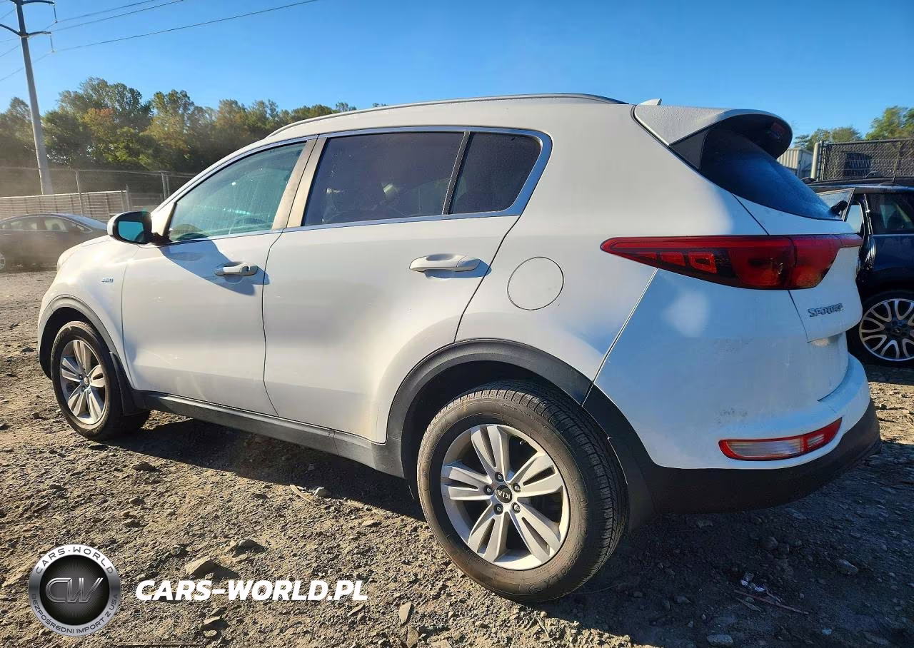 2017 Kia Sportage Lx VIN:KNDPMCAC9H7231236 - 2