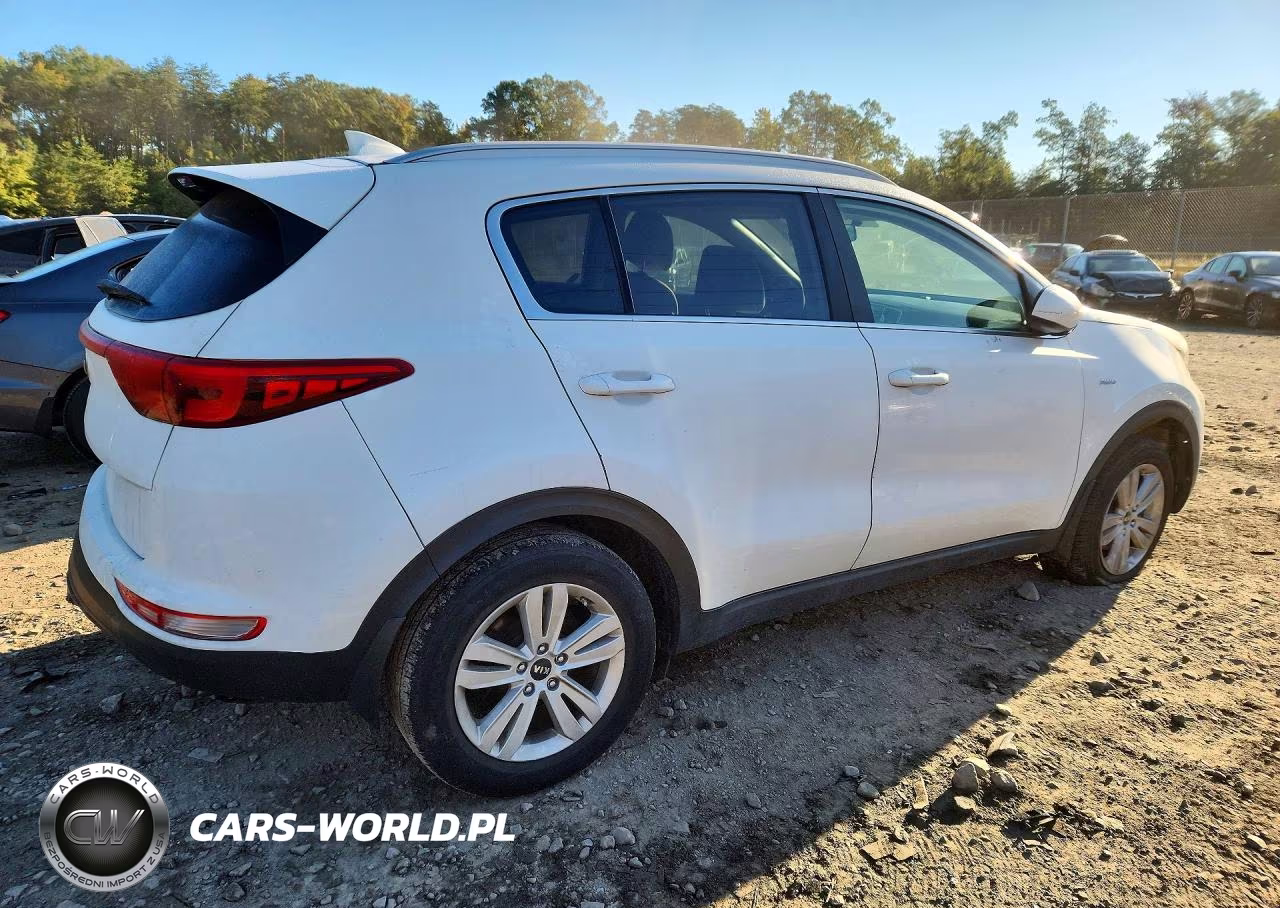 2017 Kia Sportage Lx VIN:KNDPMCAC9H7231236 - 3